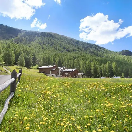 Agriturismo Bosco D'oro 5 דירה *